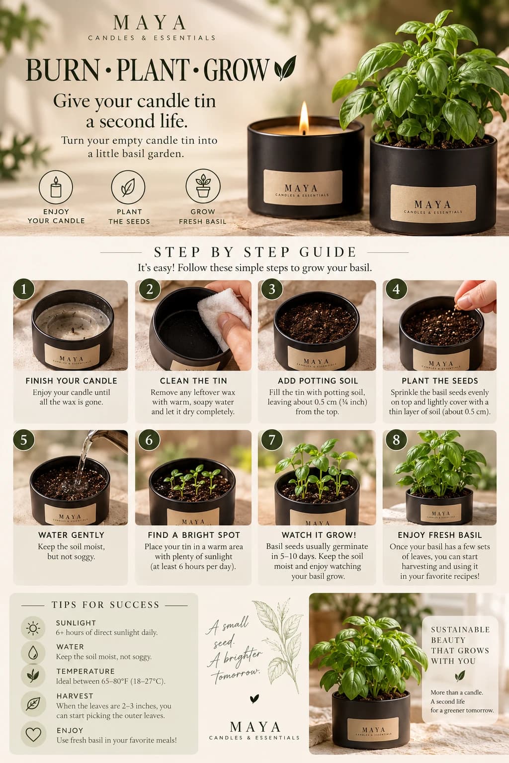 The full Burn, Plant, Grow guide: eight photographed steps for turning a Maya candle tin into a basil garden, with tips for sunlight, water, temperature, harvesting and enjoying